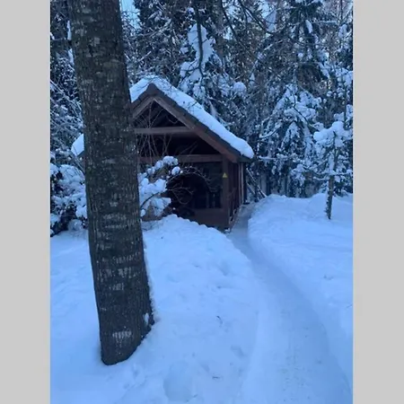 Rustic Private In Woods W/ Sauna & Pool Ferienhaus *