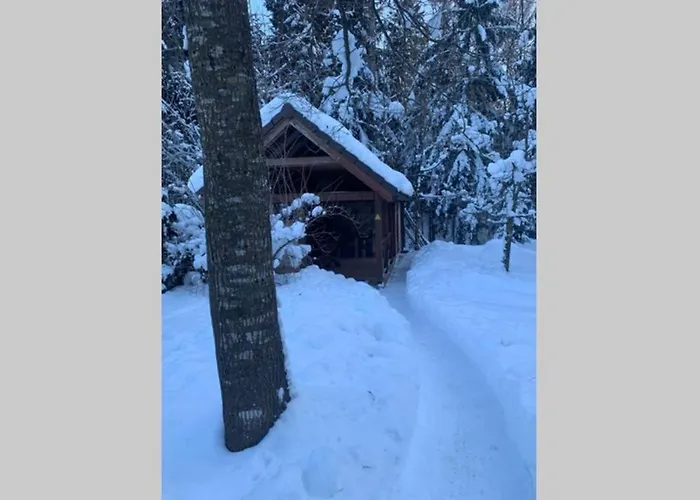 Rustic Private In Woods W/ Sauna & Pool 度假居 *