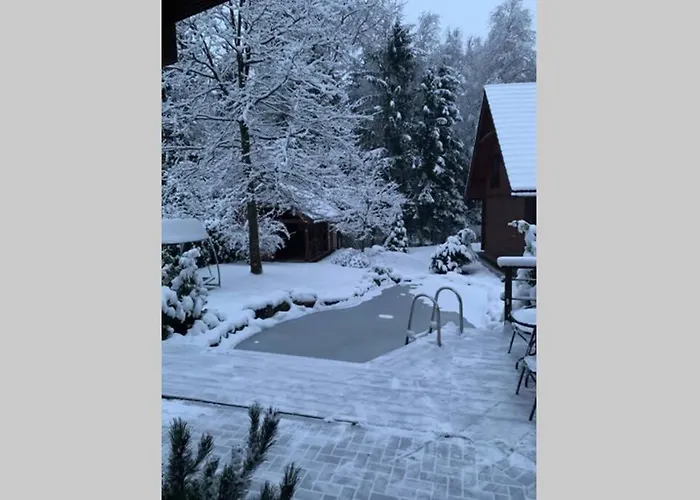 Rustic Private In Woods W/ Sauna & Pool *